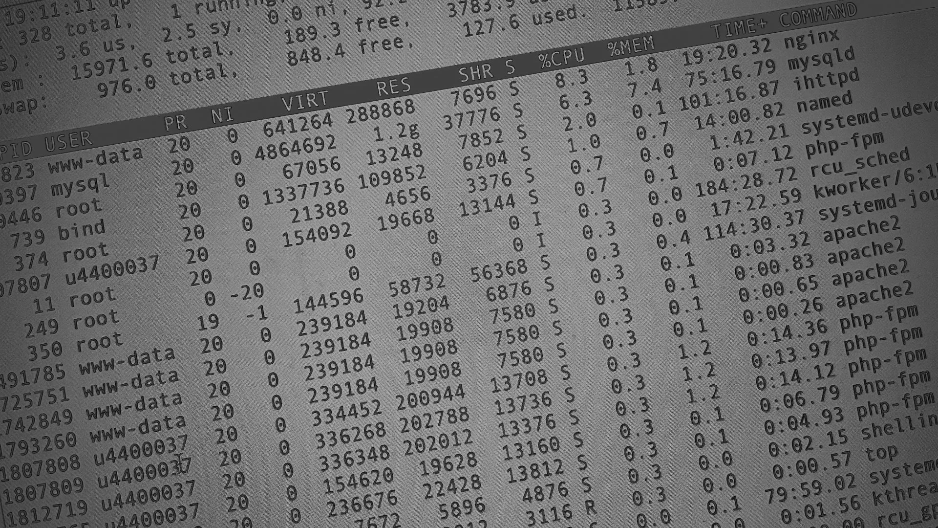 Настройка сервера в Опочке Настройка сервера в Опочке