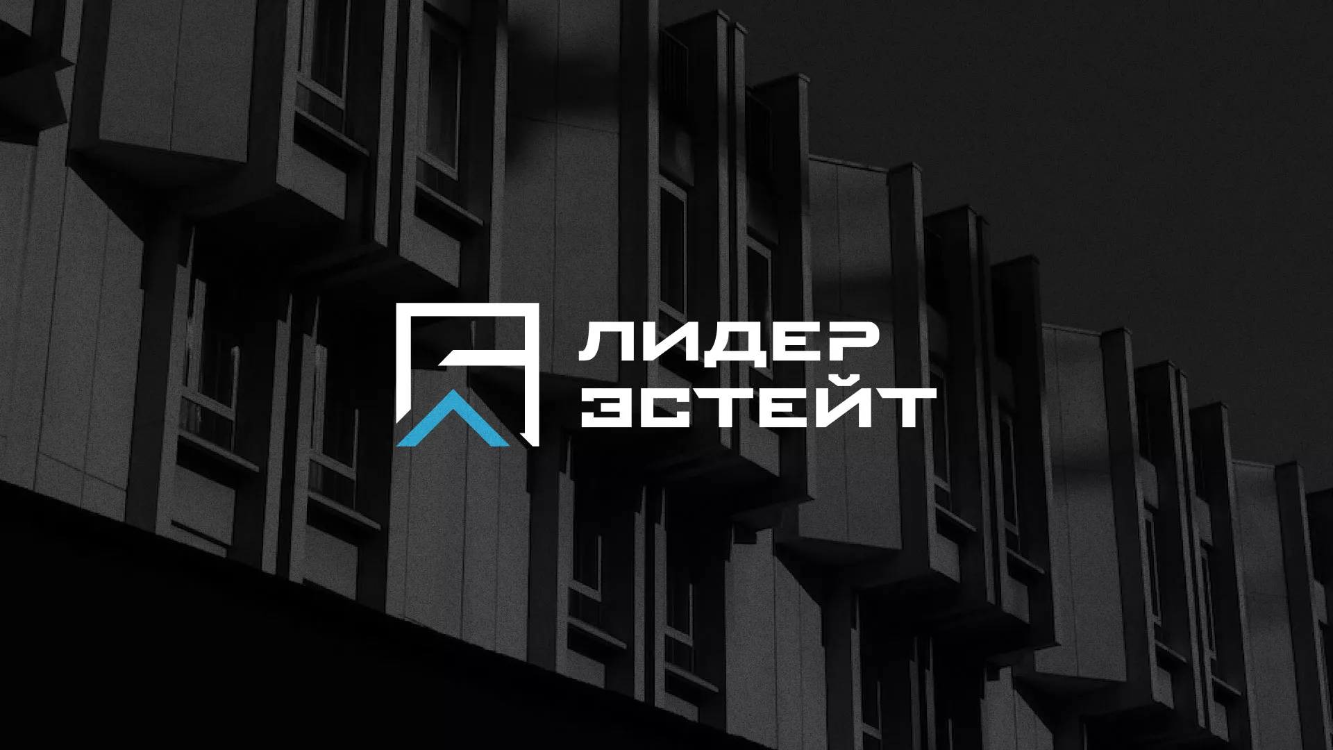 Разработка логотипа агентства недвижимости «Лидер Эстейт» в Опочке